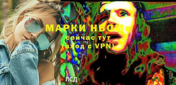 стаф Алексин