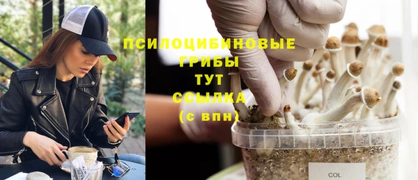 гашишное масло Алзамай