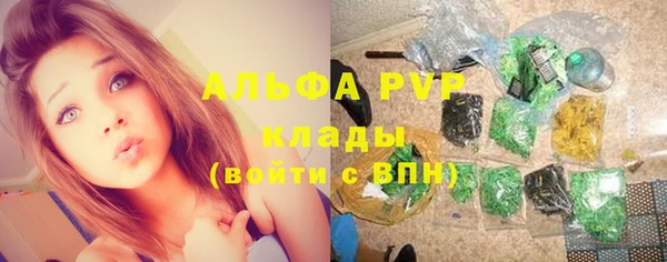 стаф Алексин