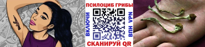 Псилоцибиновые грибы Cubensis Мышкин
