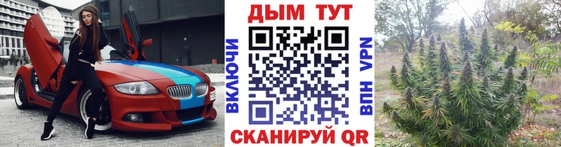 купить наркоту Мышкин mega маркетплейс Бошки Шишки ГИДРОПОН